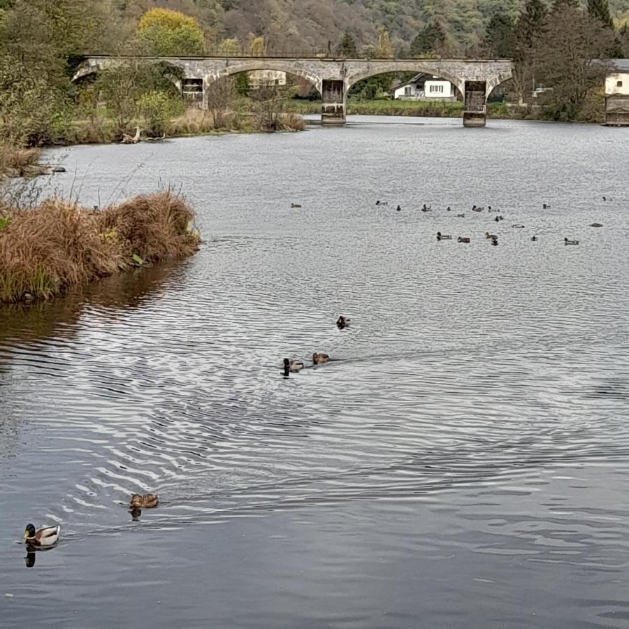 Le Sentier Des Lavandes Vresse-sur-Semois Exteriér fotografie