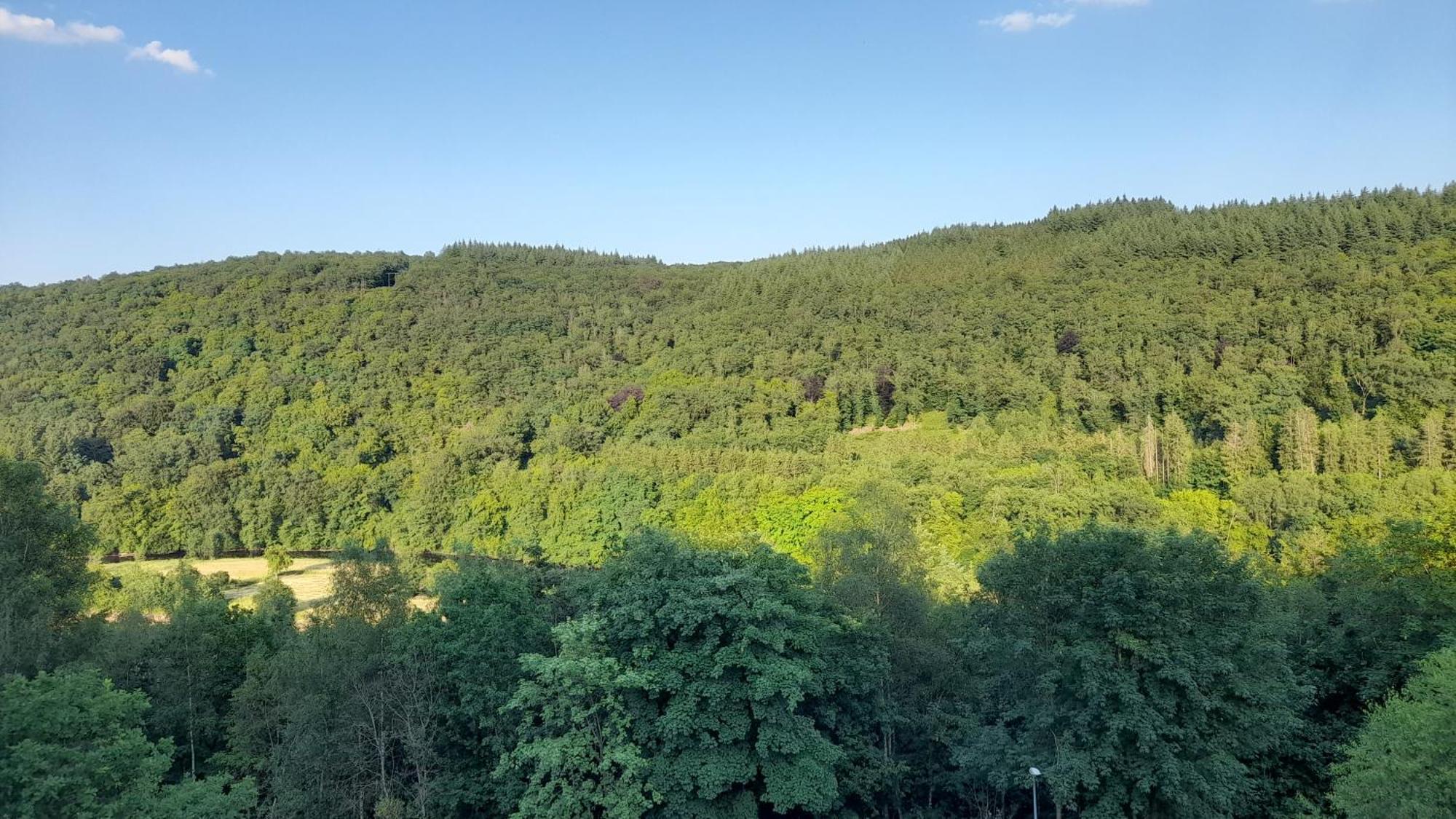 Le Sentier Des Lavandes Vresse-sur-Semois Exteriér fotografie