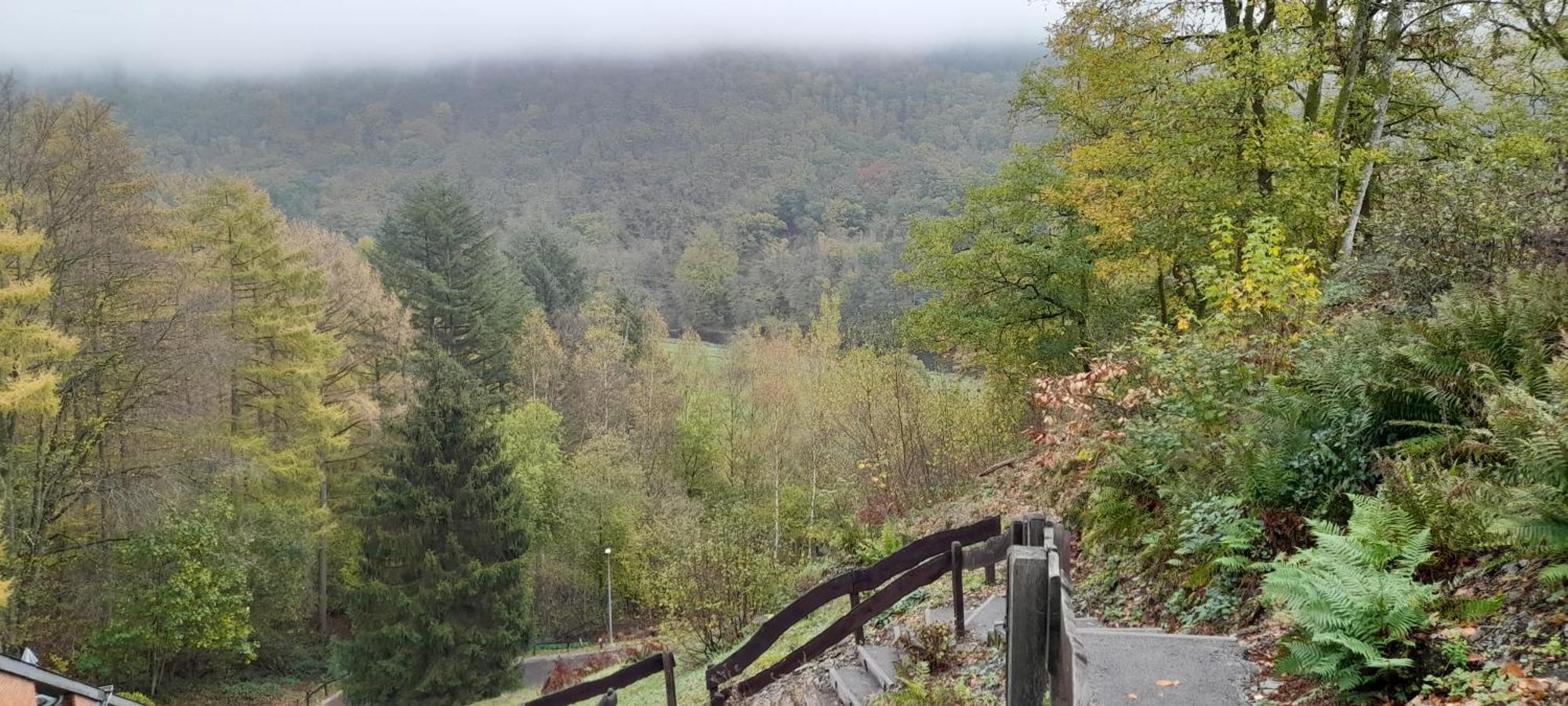 Le Sentier Des Lavandes Vresse-sur-Semois Exteriér fotografie