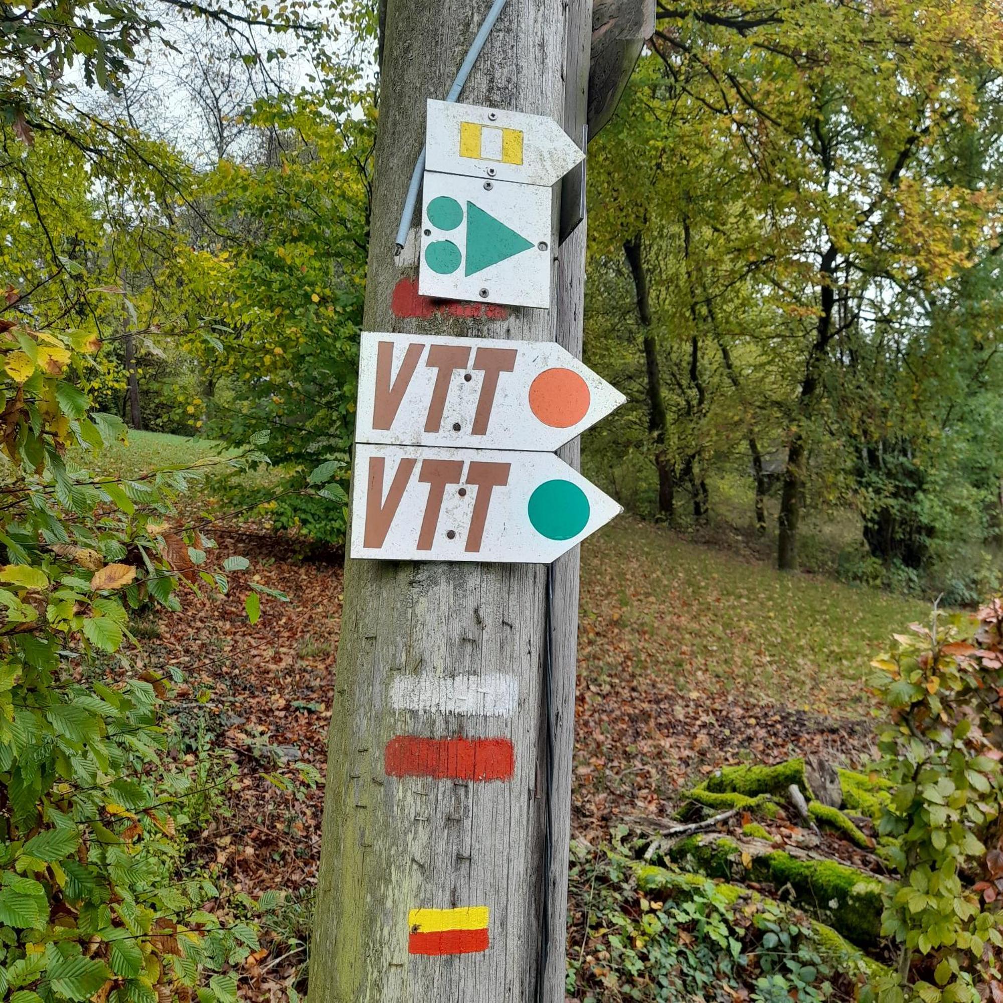 Le Sentier Des Lavandes Vresse-sur-Semois Exteriér fotografie