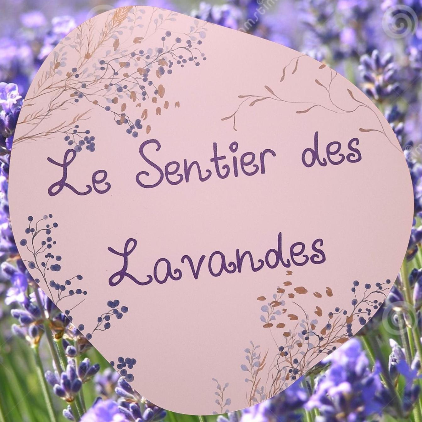 Le Sentier Des Lavandes Vresse-sur-Semois Exteriér fotografie
