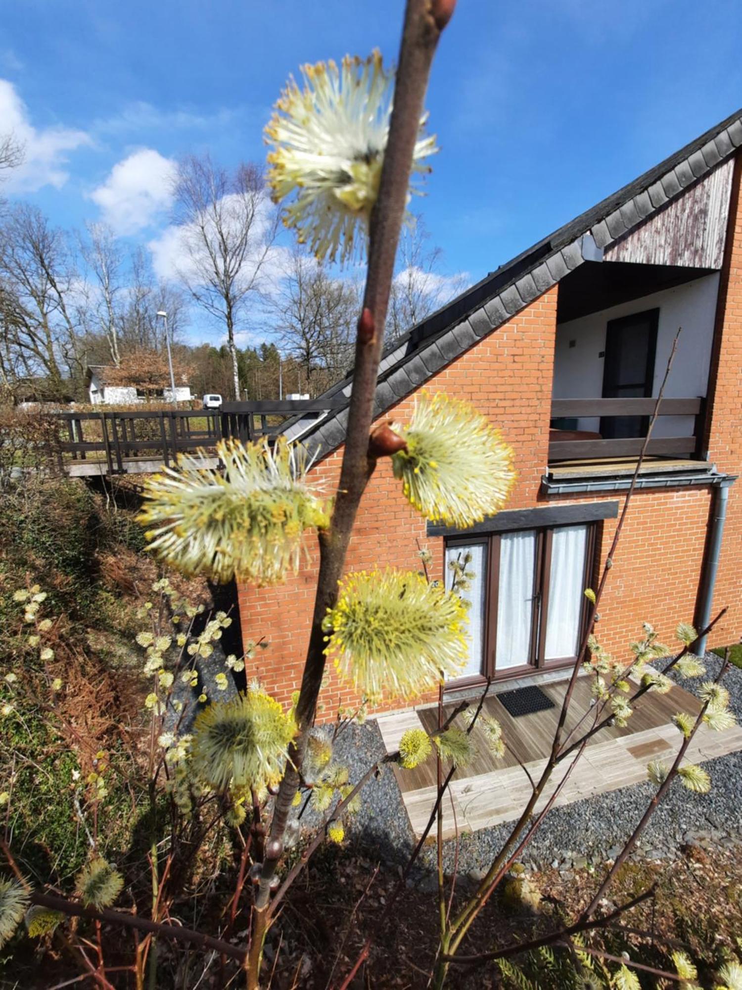 Le Sentier Des Lavandes Vresse-sur-Semois Exteriér fotografie